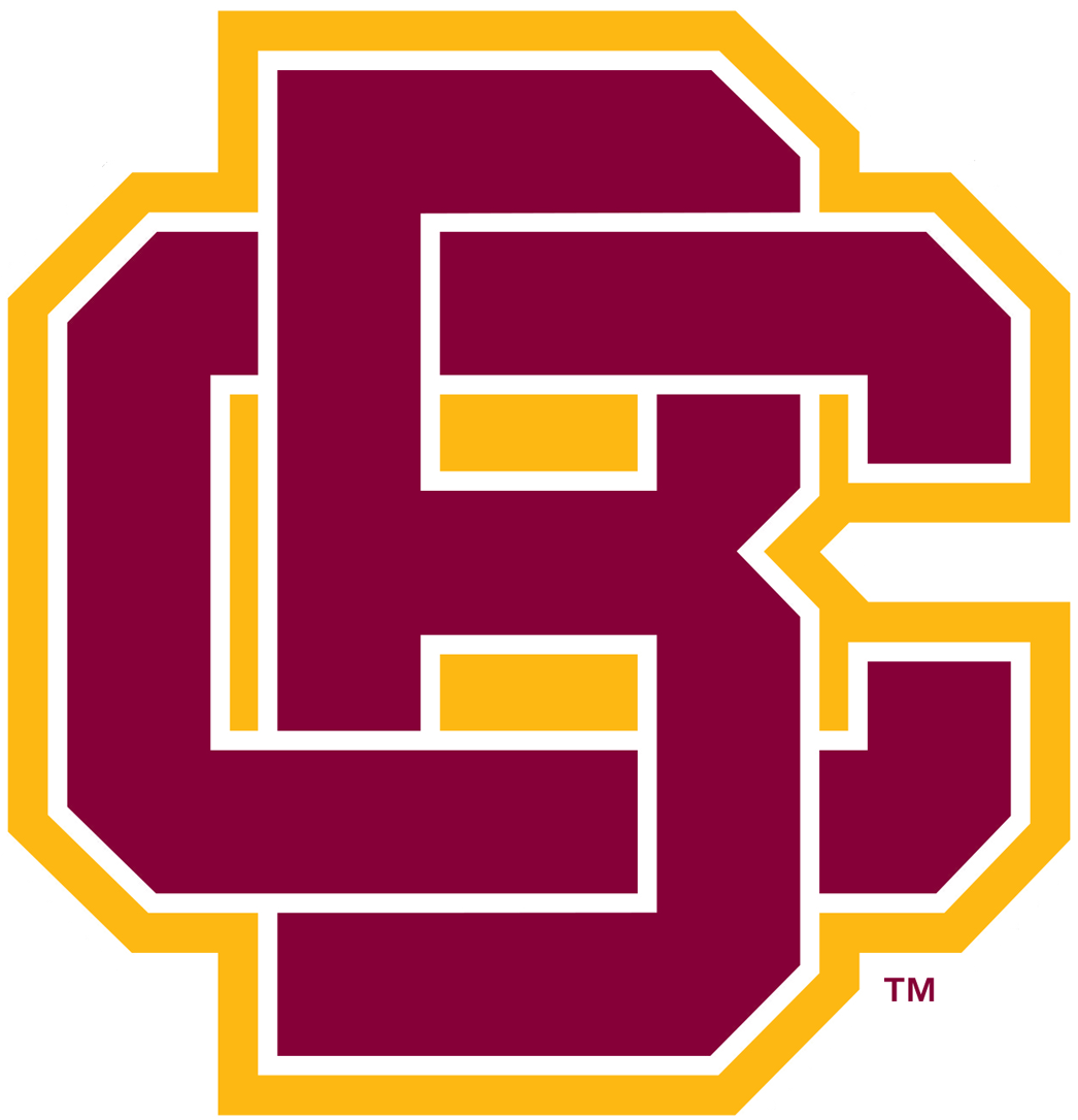 Bethune-Cookman Wildcats 2016-Pres Primary Logo vinyl decal